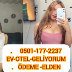 Bursa Escort Giriş Modelleri ve Özellikleri