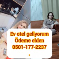 Bursa escort Niran