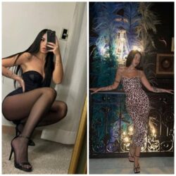 Bursa Acele Etmeyen Travestiler